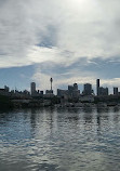 Blackwattle Bay Park