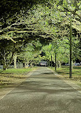 Dog park at Federal Park