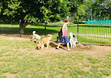 Dog Park