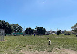 Dog Park