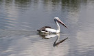 Waterbird Refuge