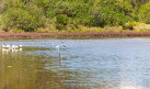 Waterbird Refuge