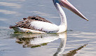 Waterbird Refuge