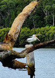 Waterbird Refuge