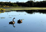 Waterbird Refuge