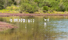 Waterbird Refuge