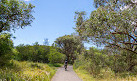 Waterbird Refuge