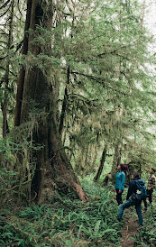 Clayoquot Wilderness Lodge