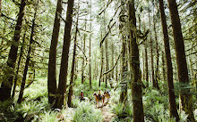 Clayoquot Wilderness Lodge