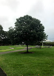 Village Green Playground