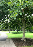 Village Green Playground