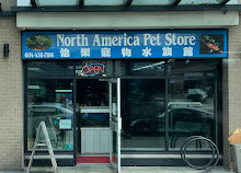 Tienda de mascotas de América del Norte