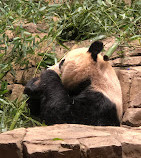 Parco zoologico nazionale Smithsonian