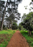 Finca de Osorio