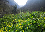 Sendero Barranco De La Virgen