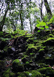 Sendero Barranco De La Virgen