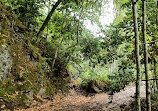 Sendero Barranco De La Virgen