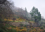 Sendero Barranco De La Virgen