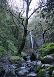 Sendero Barranco De La Virgen