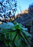 Sendero Barranco De La Virgen