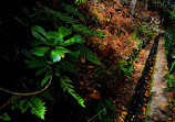 Sendero Barranco De La Virgen