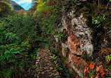 Sendero Barranco De La Virgen