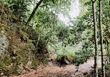 Sendero Barranco De La Virgen