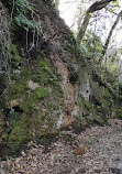 Sendero Barranco De La Virgen