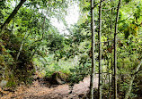 Sendero Barranco De La Virgen