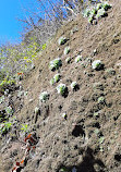 Sendero Barranco De La Virgen