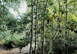 Sendero Barranco De La Virgen