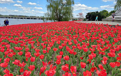 Parque Lady Bird Johnson