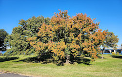 Parque Lady Bird Johnson