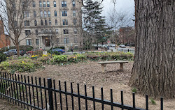 T Street Park