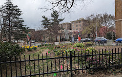 T Street Park