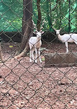 Pilikula Biological Park