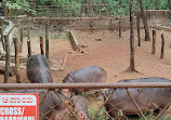 Pilikula Biological Park