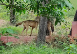 Pilikula Biological Park