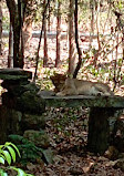 Pilikula Biological Park