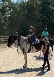 Castlewood Stables