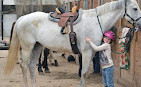 Castlewood Stables