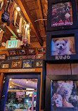 Blue Dog Beer Tavern