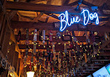 Blue Dog Beer Tavern