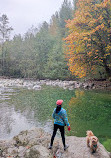 Lynn Valley Park