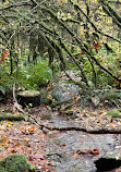 Lynn Valley Park