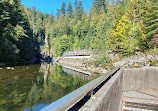 Capilano River Hatchery