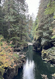 Capilano River Hatchery