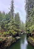 Capilano River Hatchery