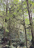 Capilano River Hatchery