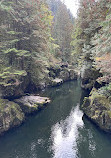 Capilano River Hatchery